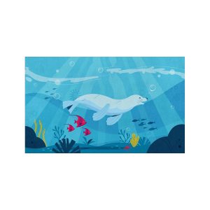پادری حیوانات مدل فوک دریایی MA0203