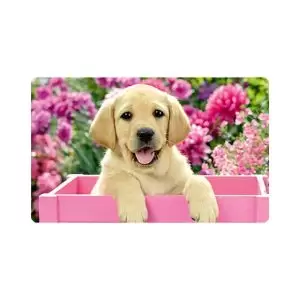 پادری حیوانات مدل سگ دوست داشتنی MA0076