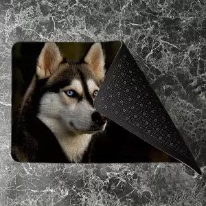 پادری حیوانات مدل تصویر زیبای یک سگ MA0094