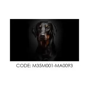 پادری حیوانات مدل تمام رخ زیبای یک سگ