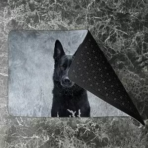 پادری حیوانات مدل جذابیت یک سگ MA0090