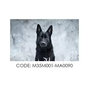 پادری حیوانات مدل جذابیت یک سگ