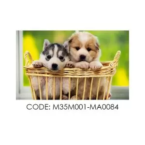 پادری حیوانات مدل دو توله سگ در سبد