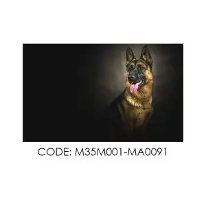 پادری حیوانات مدل رخ سگ