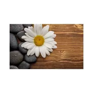 پادری طرح گل مدل یک گل زیبای سفید