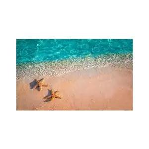 پادری مدرن و کلاسیک مدل ستاره های دریایی