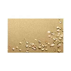 پادری مدرن و کلاسیک مدل صدف ساحل و ماسه