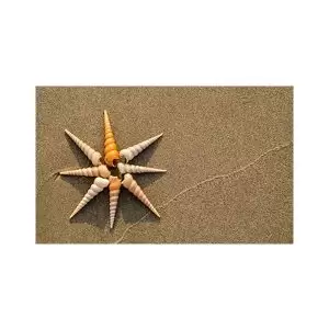 پادری مدرن و کلاسیک مدل صدف ها