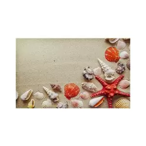 پادری مدرن و کلاسیک مدل صدف و ستاره قرمز