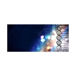 موس پد دانش مدل رشته دی ان ای