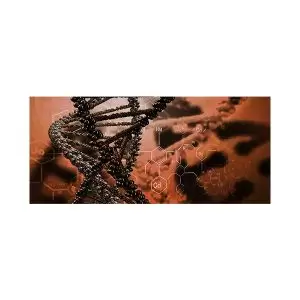 موس پد دانش مدل رشته های دی ان ای