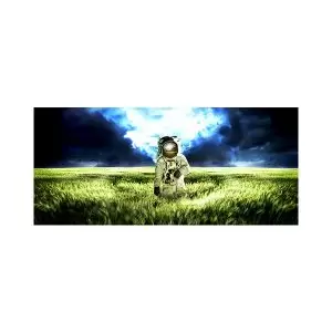 موس پد طرح فضانورد در میان چمن زار