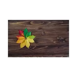 پادری طرح گل مدل برگ های زیبای رنگی