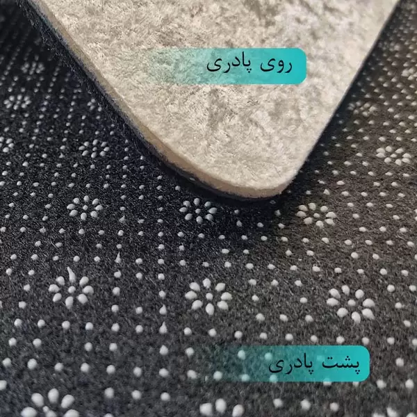 پشت-و-روی-پادری