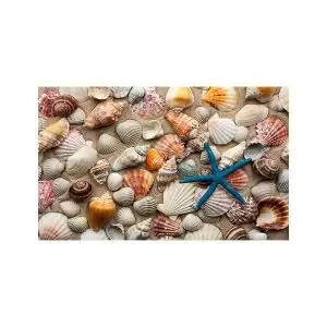 پادری مدرن و کلاسیک مدل صدف های زیباMP0221