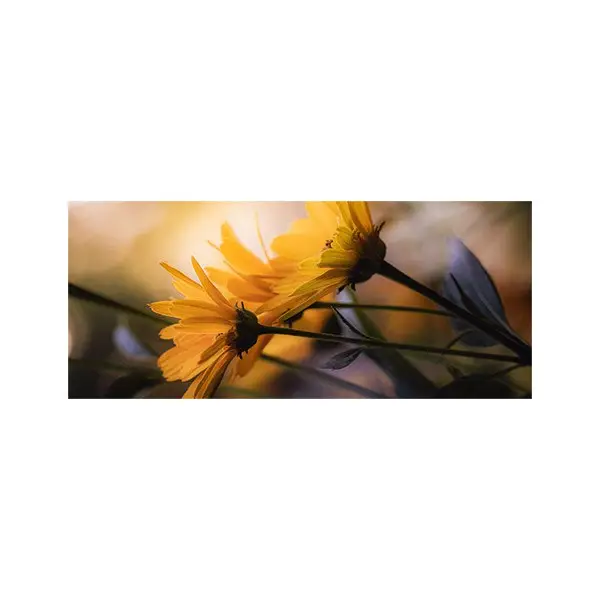 پادری طرح گل مدل دو شاخه گل زرد MF0038