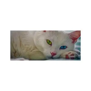 پادری حیوانات مدل طرح رنگ روغنی گربه MA0008