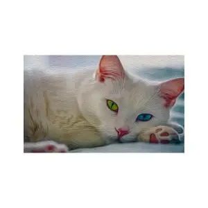 پادری حیوانات مدل طرح رنگ روغنی گربه