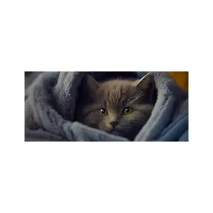 پادری حیوانات مدل گربه ملوس خاکستریMA0014